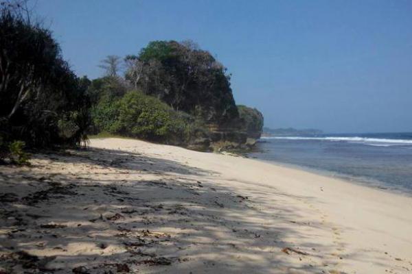 Berburu Pasir Putih Di Pantai Seling Ombo